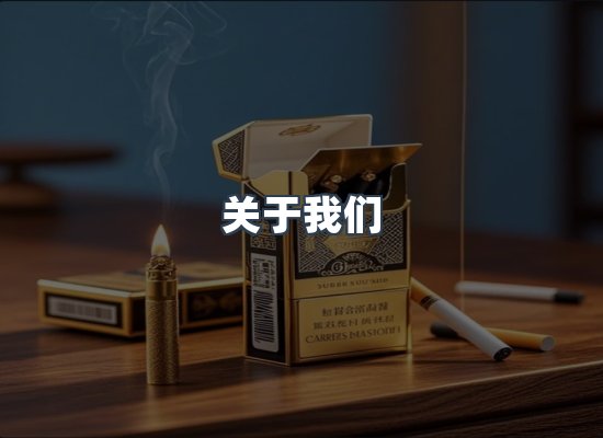 关于我们